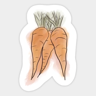 Watercolor Carrots Sticker